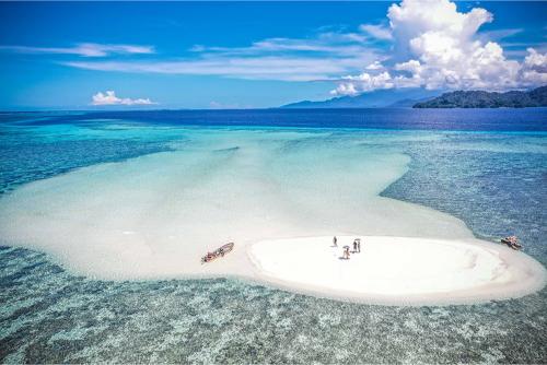 50 Reasons To Travel In Papua New Guinea A Sandbank Near Pokpok Island, Autonomous Region Of Bougainville Tourism Promotion Authority