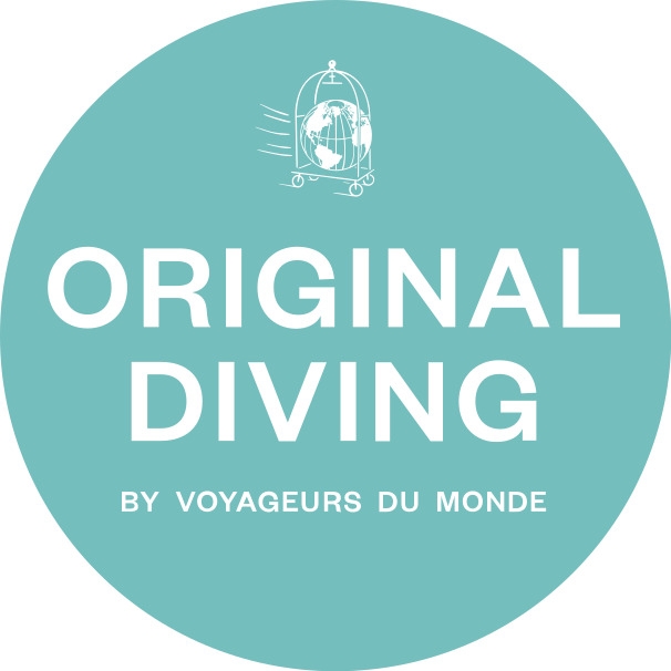 Original Diving Logo