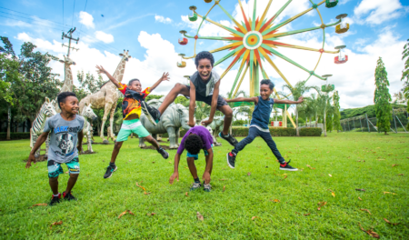 Adventure Park Papua New Guinea 1
