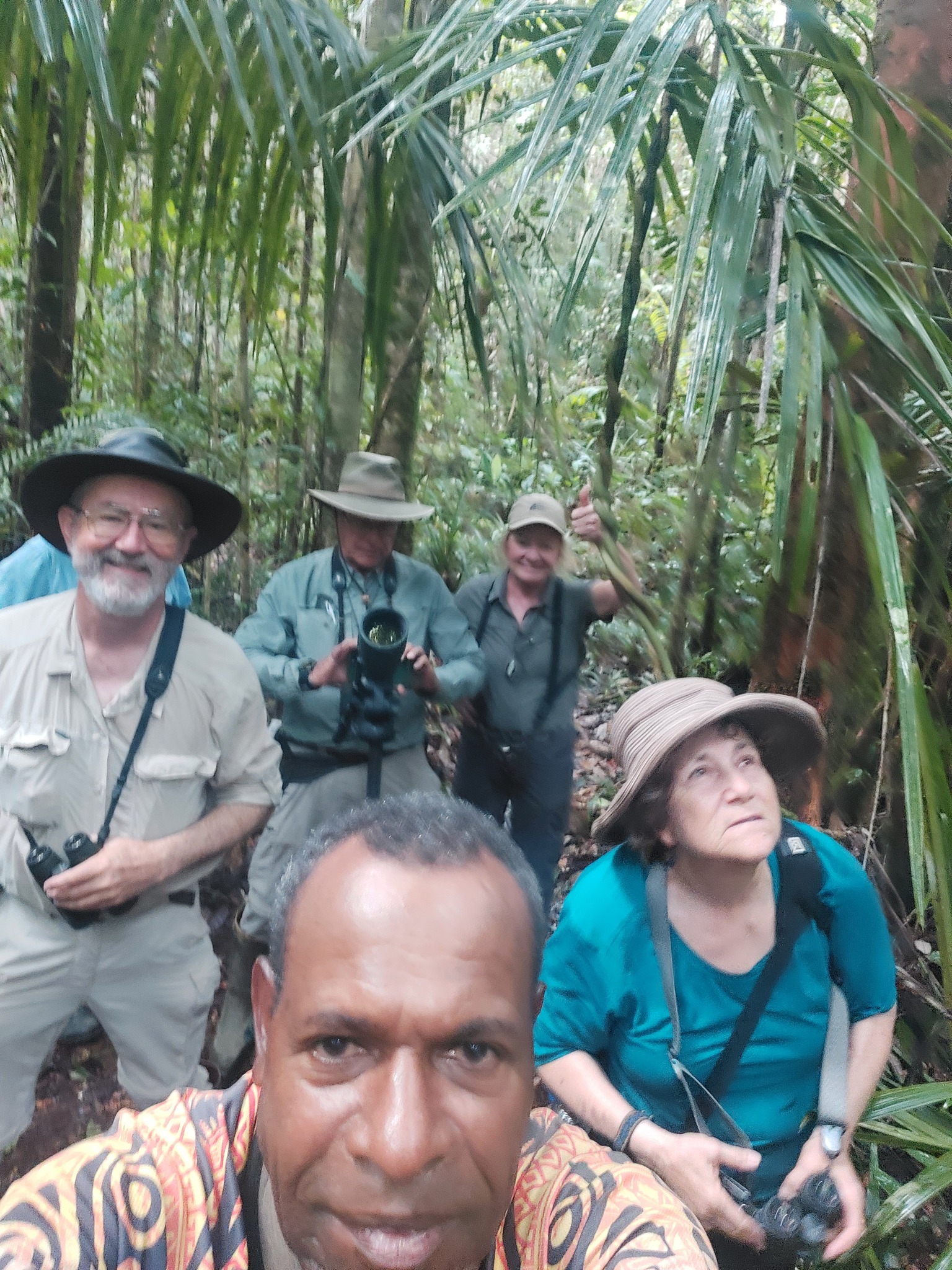 papua new guinea birding tours