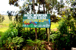 Magic Mountain Nature Lodge Logo