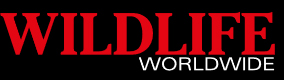 Wildlife Worldwide Logo