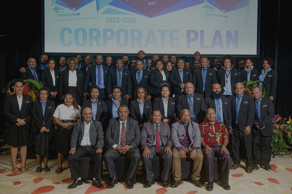 Large Tpa Staff Corporate Plan Launch W