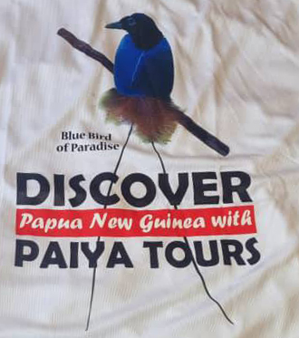 Paiya Tours Logo