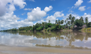 Sepik River Village Stay 1