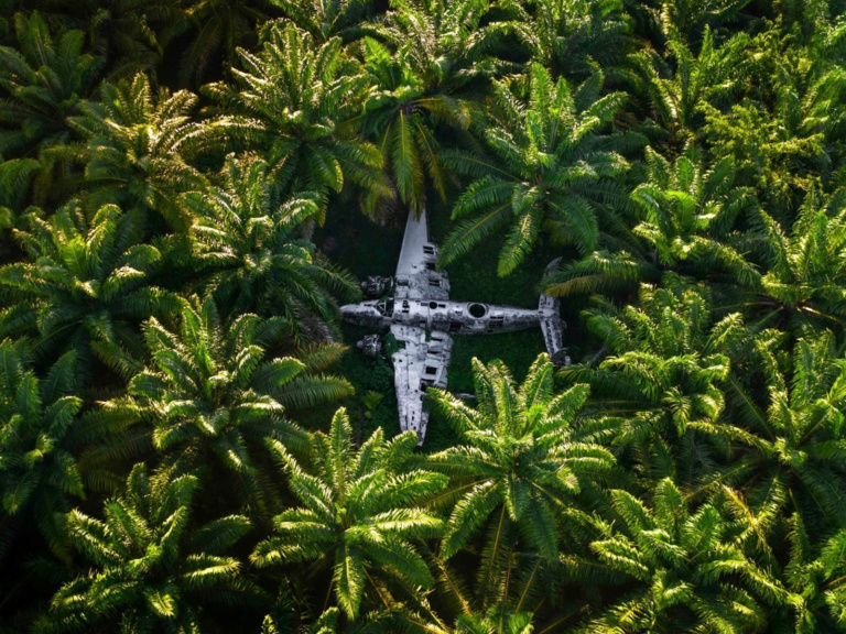 American Wwii Lockheed Ventura Plane Wreck In Talasea