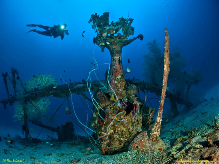 Wreck Diving (“deep Pete”, Wwii Mitsubishi F1m)