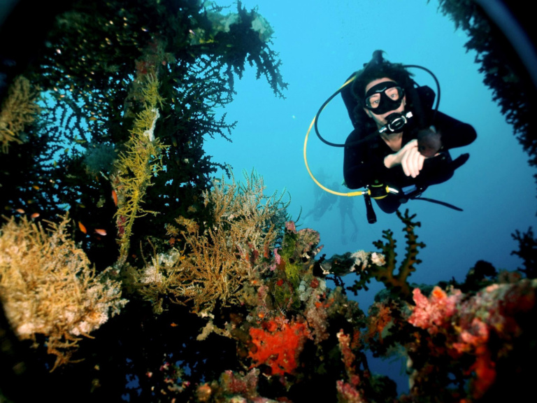 Scuba Diving, Bootless Bay, National Capital District