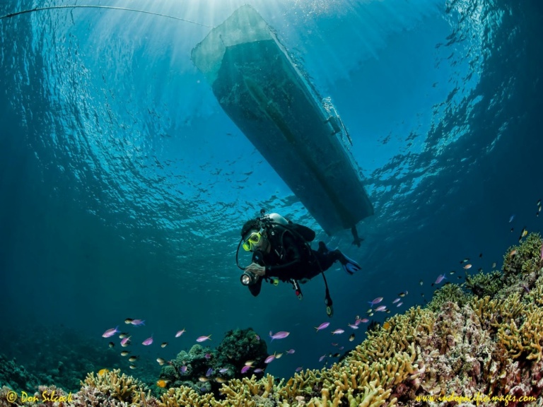Scuba Diving, Lissenung Island Resort