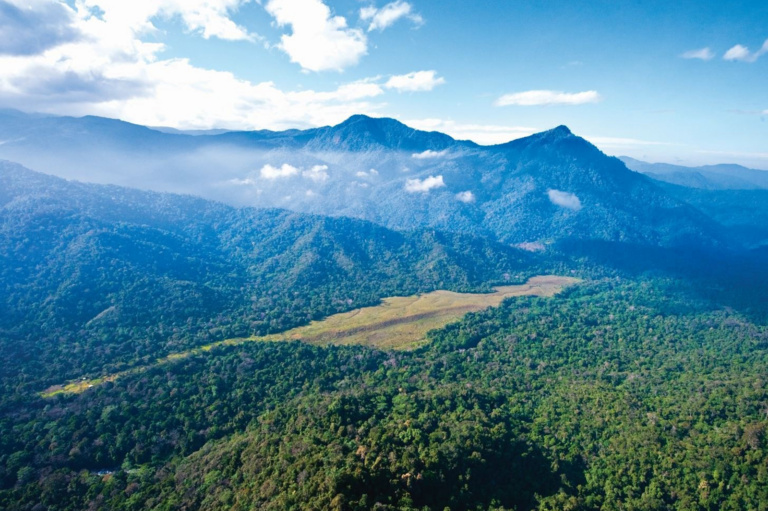 Mount Bellamy, Kokoda Trail
