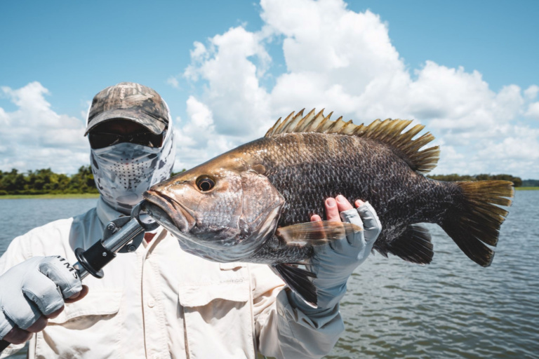Lake Murray, Western Province Fishing With Angling Adventures And Trans Niugini Tours
