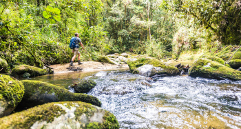 27018134727 F2546e276d K